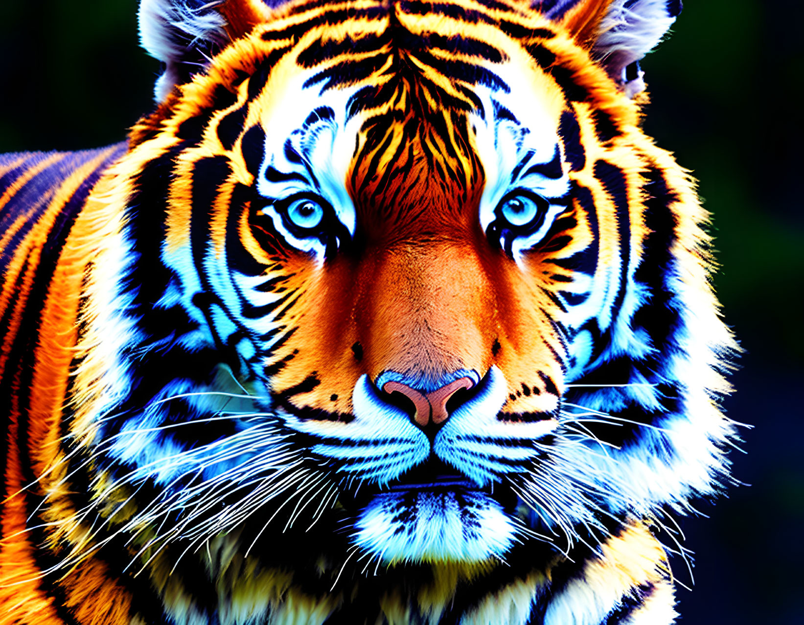 Detailed Close-Up of Striking Tiger's Face