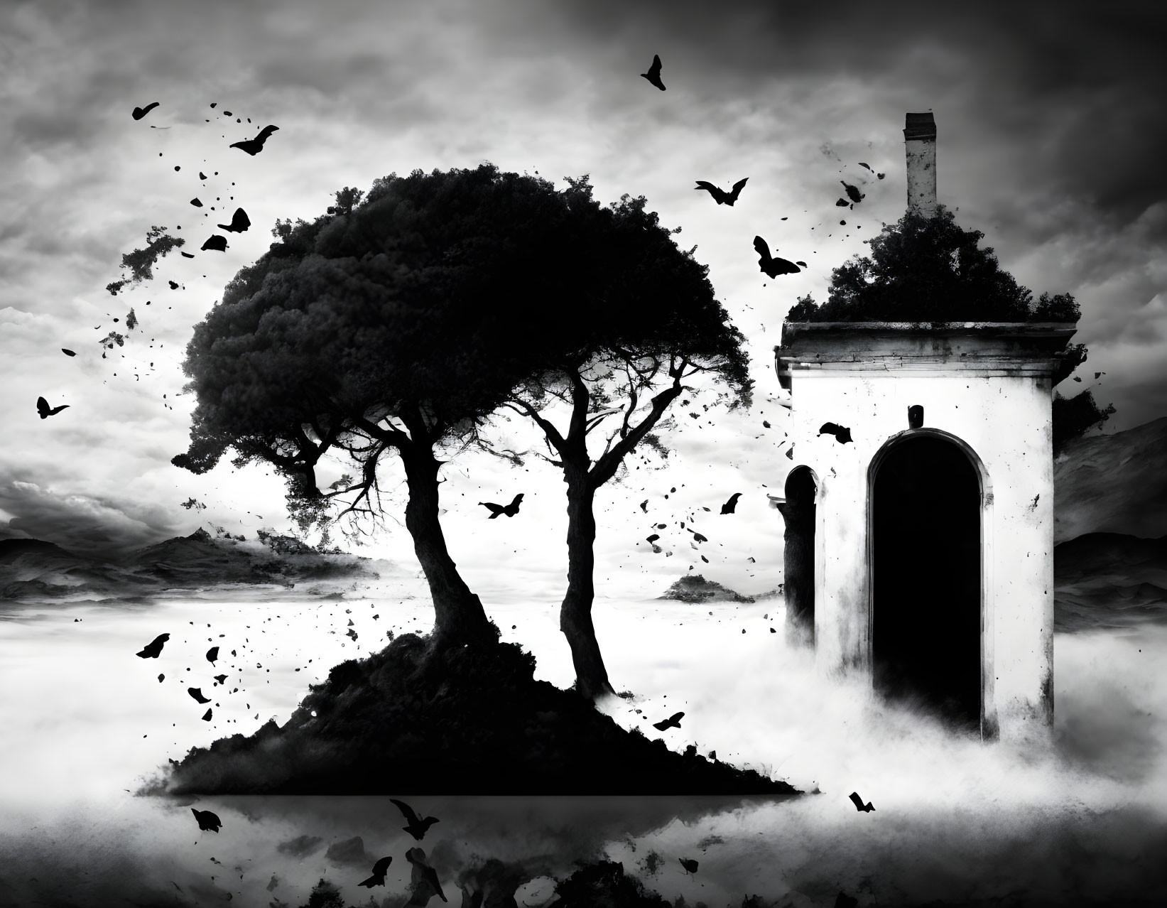 Monochrome artistic image of tree, old door, birds in misty landscape