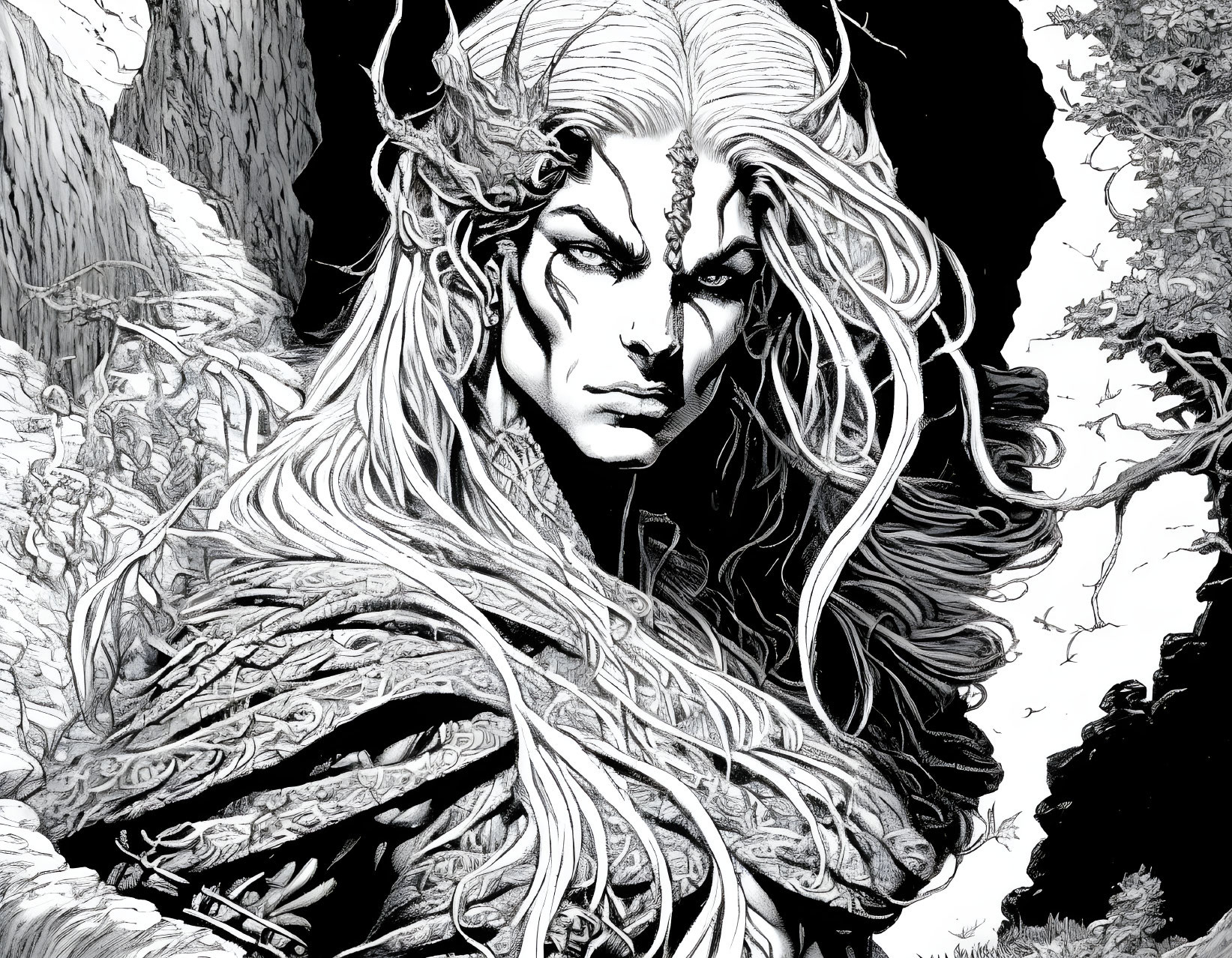 Detailed black and white fantasy character illustration with long hair and pointed ears