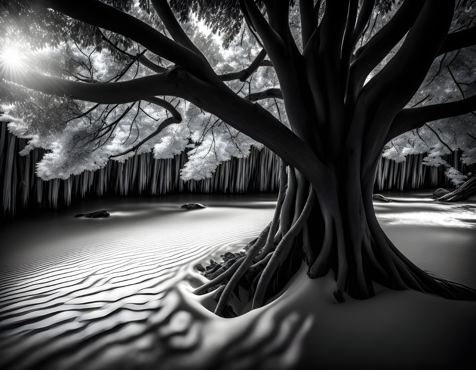 Monochrome landscape with tree, roots, textured ground, and sun peeking.