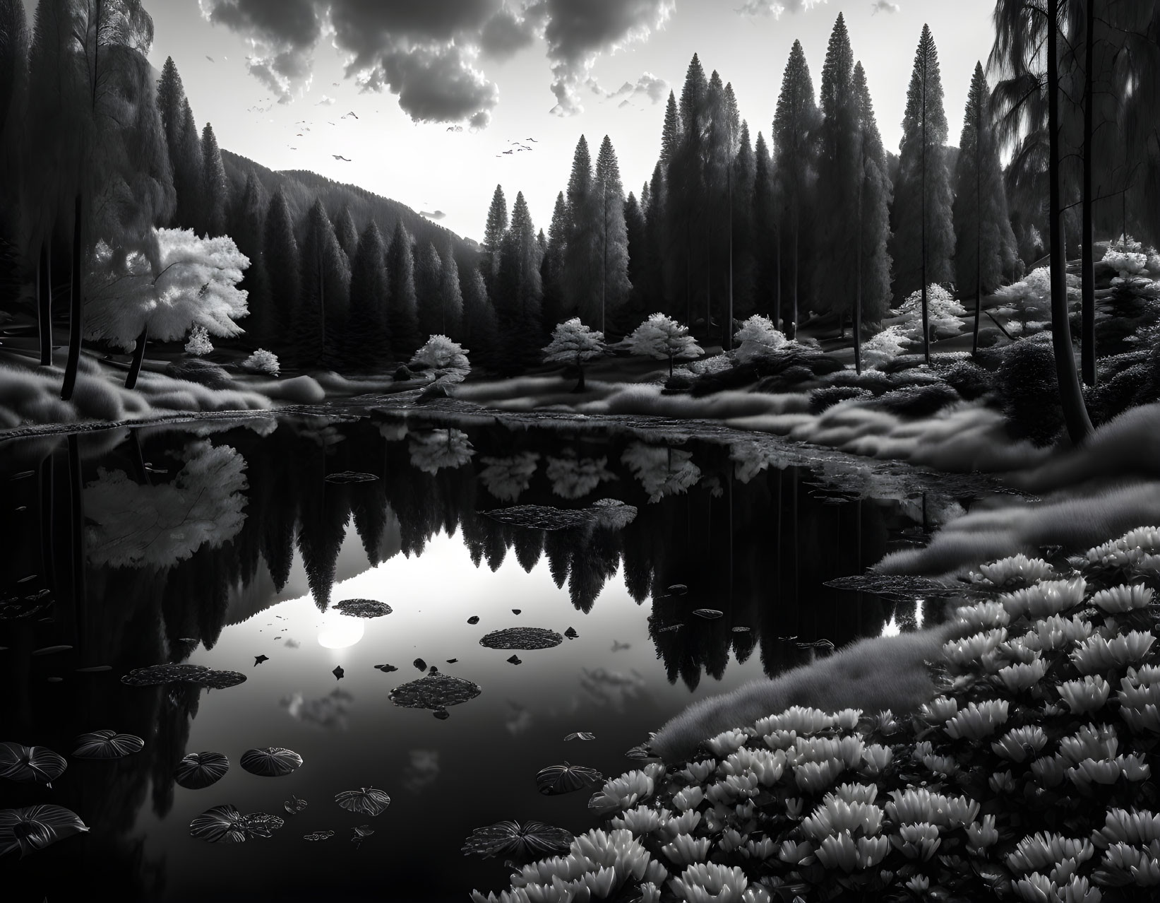 Serene black and white forest landscape with lake reflection and birds