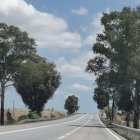 Surreal image: road to human head sculptures with tree hair