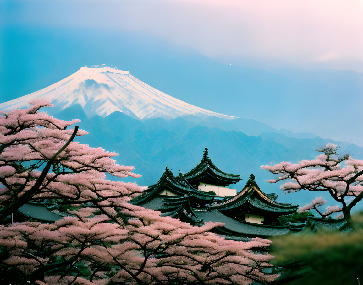 Traditional Japanese pagoda rooftops with Mt. Fuji and cherry blossoms landscape.