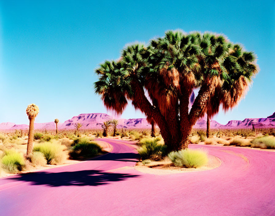 Purple Road Through Desert Landscape with Joshua Trees and Mountains