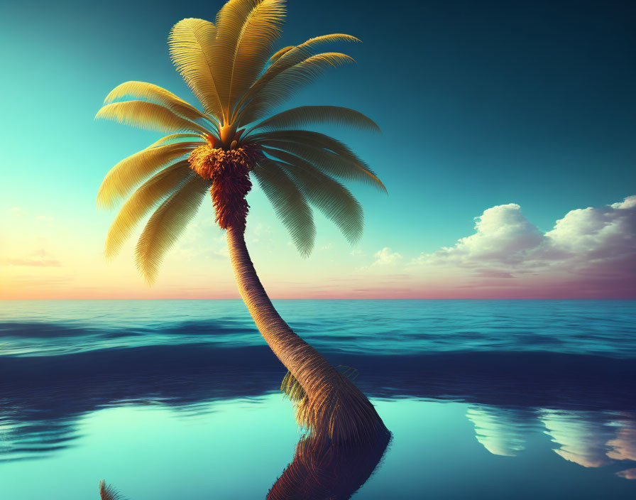 Curved palm tree on calm sea at sunset