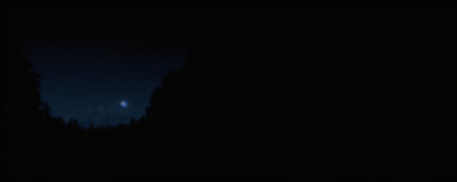 Silhouettes of trees under a small moon in a night sky