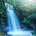 Vibrant greenery and cascading water in fantastical oasis