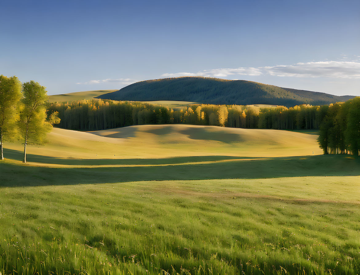 Tranquil landscape: rolling hills, green grass, scattered trees, forested mountain, clear blue