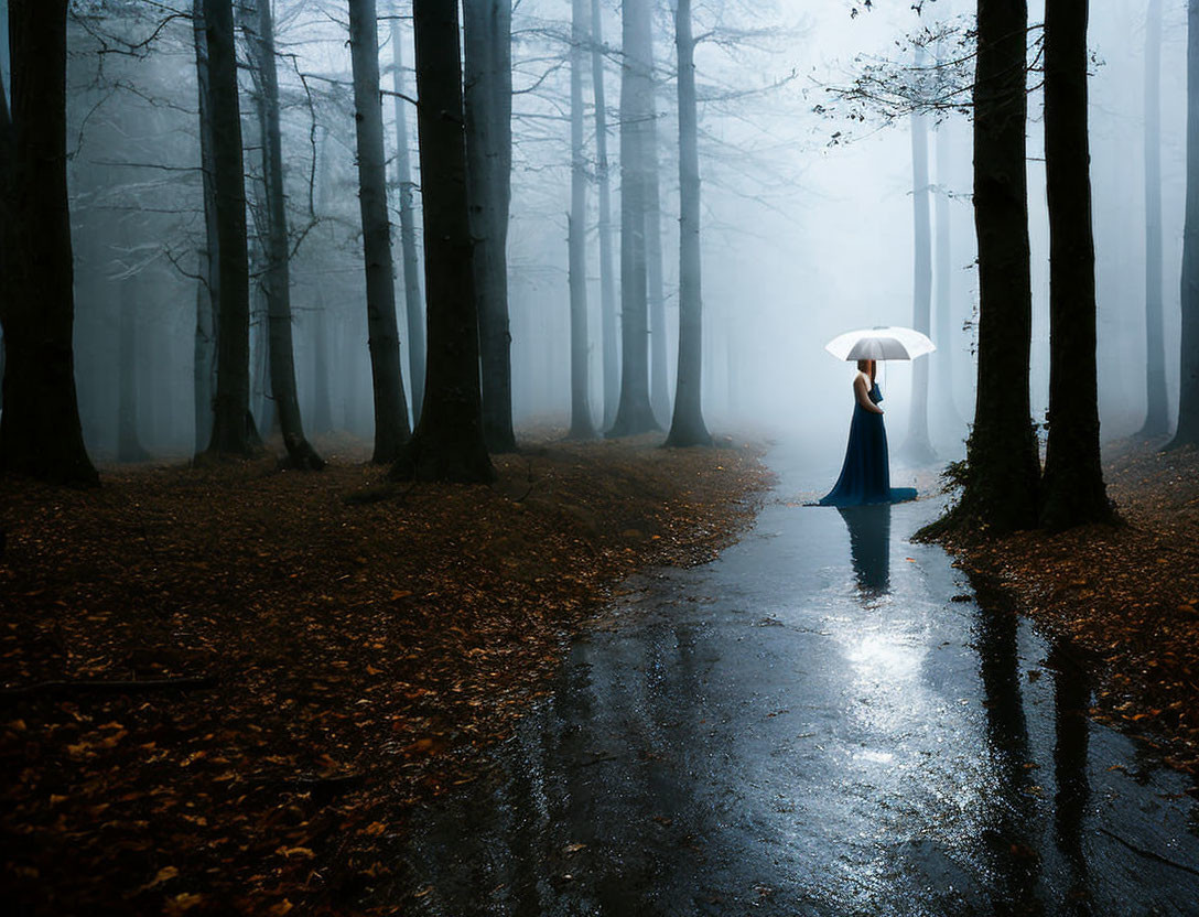 Person in Blue Dress with White Umbrella on Misty Forest Path