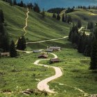 Scenic winding path in vibrant green forest with distant mountains and soft sky