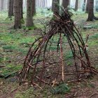 Intertwined tree roots and wooden chair on sandy beach