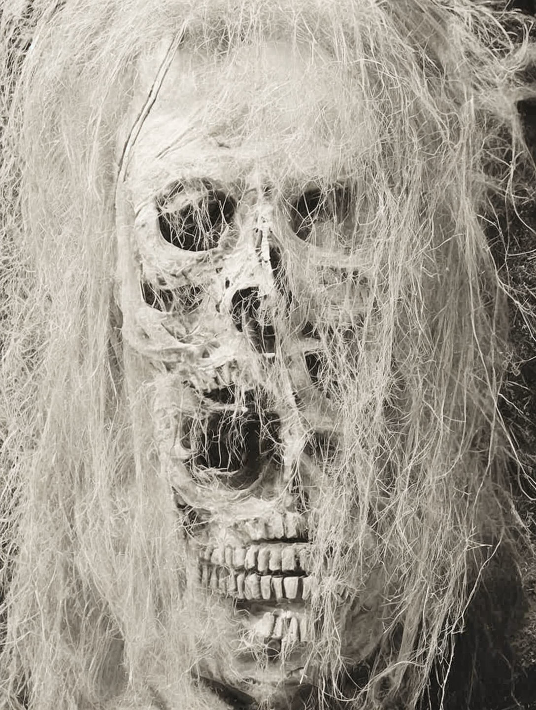 Creepy skeleton face with hollow eyes and disheveled hair