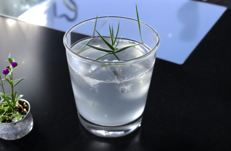 Transparent glass of water with green plant and potted purple flowers on dark surface