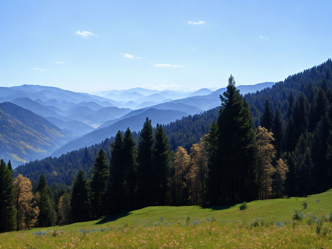 Scenic green meadow with mixed trees and layered blue mountains under clear sky