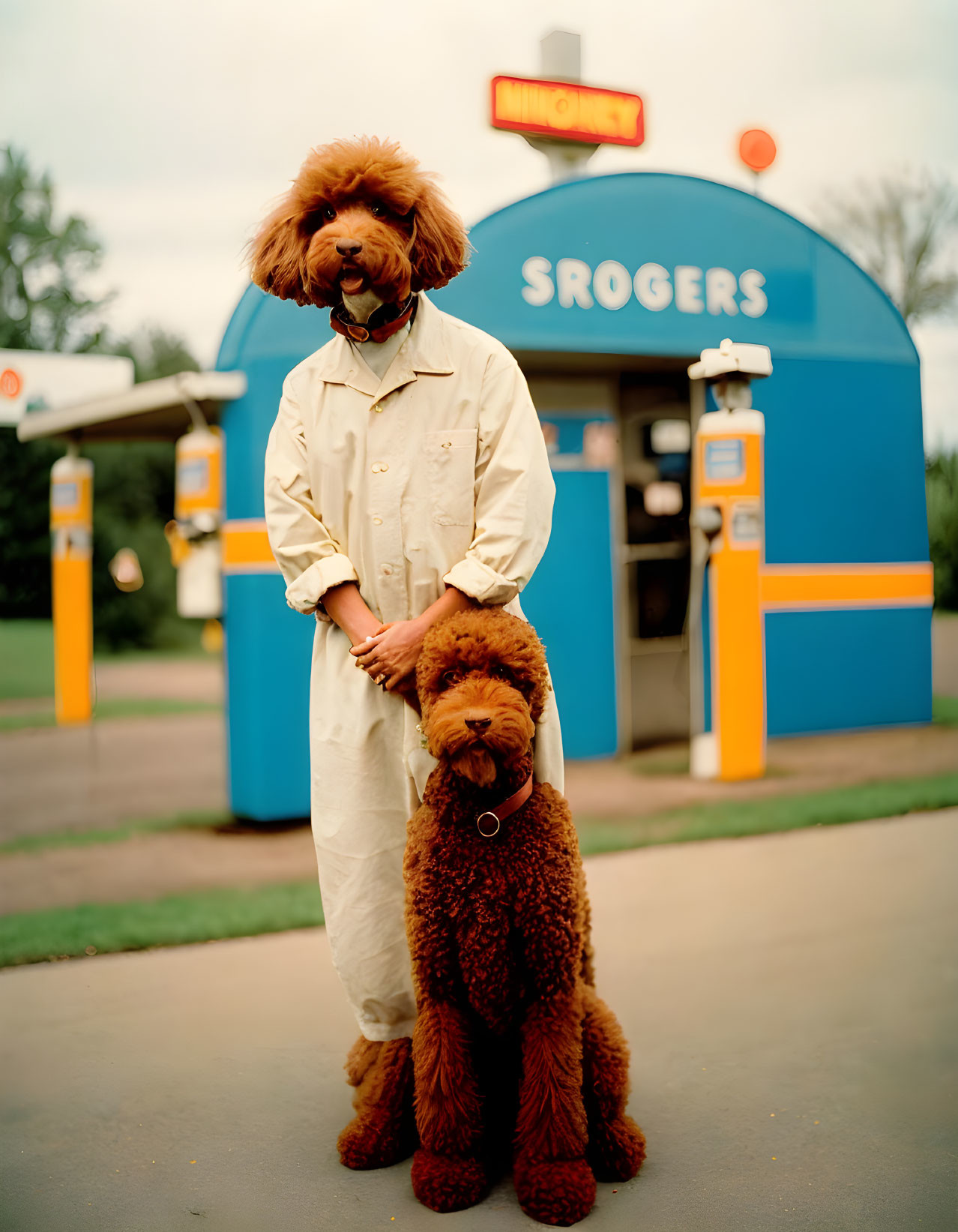 Red poodle in trench coat and wig at "Srogers" booth