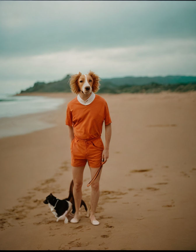 Human with dog head in orange shirt and shorts on sandy beach with small black and white dog