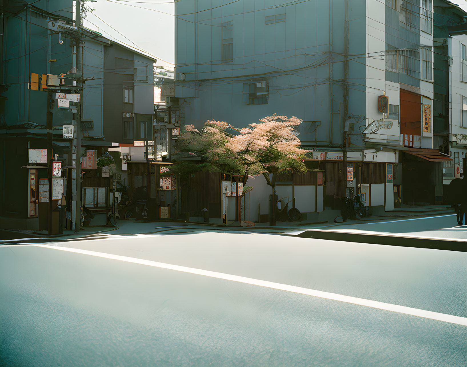 Traditional city street corner with blossoming tree and storefronts under sunlight.