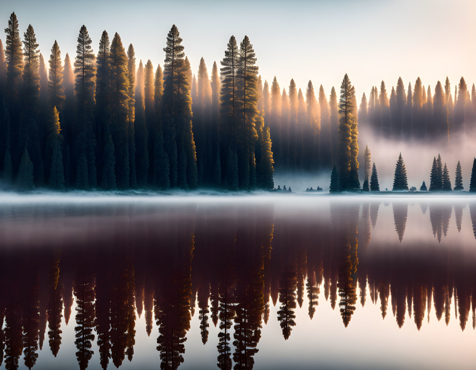 Tranquil forest lake at dawn with mist and sunlight reflections