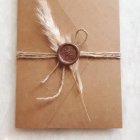 Beige Envelope with Silver Feather and Diamond Embellishments