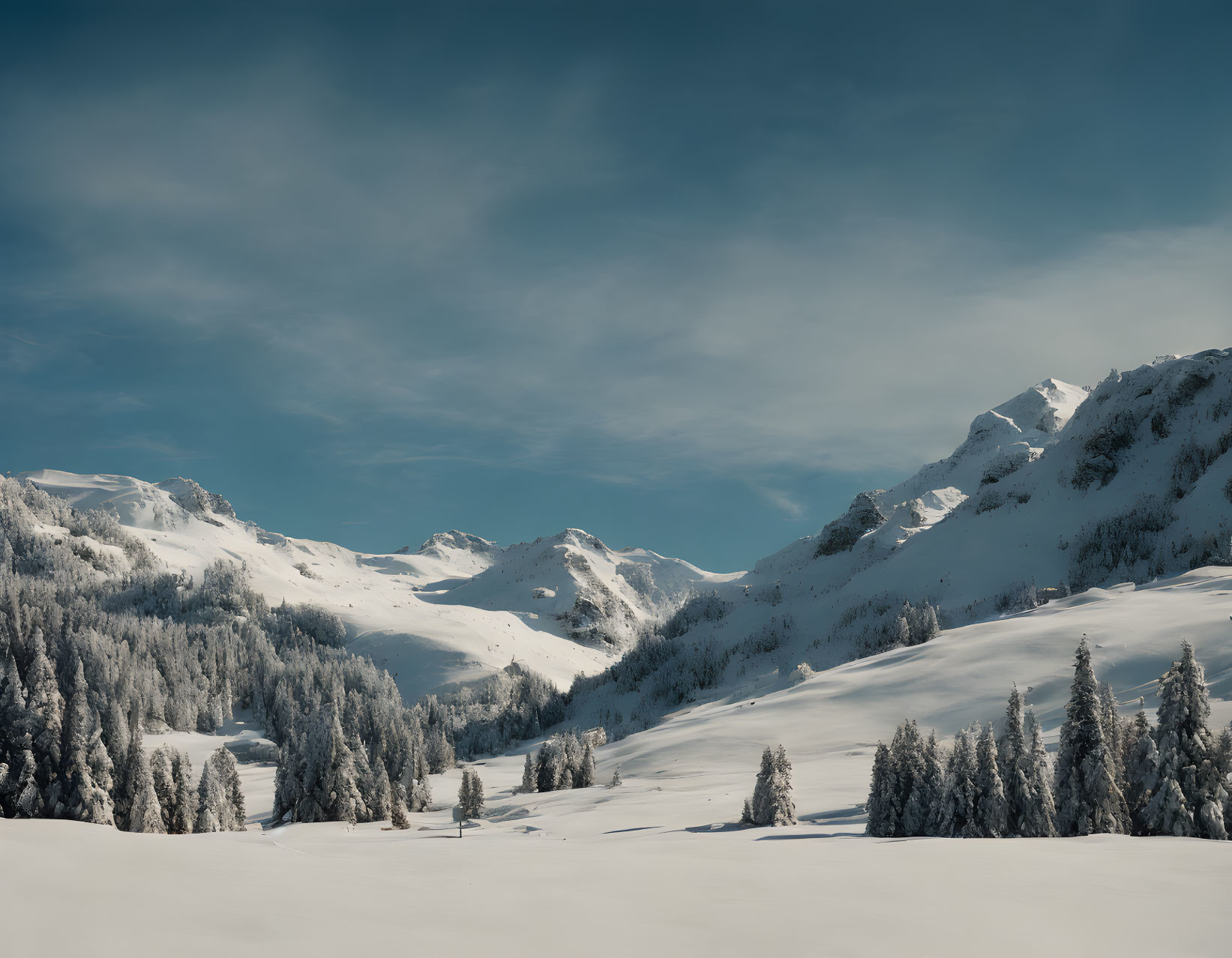 Snow-covered mountains and trees in serene winter landscape