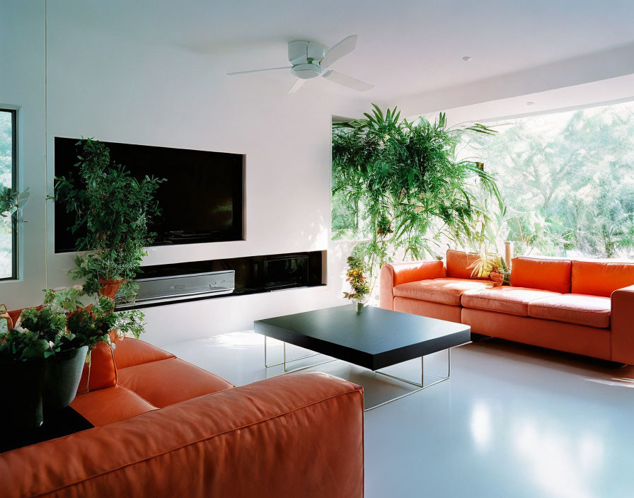 Spacious living room with large windows, orange sofas, black center table, green plants, and ceiling