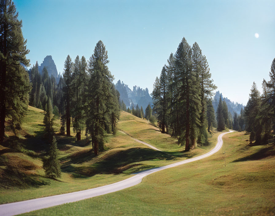 Serene Alpine Landscape with Winding Road