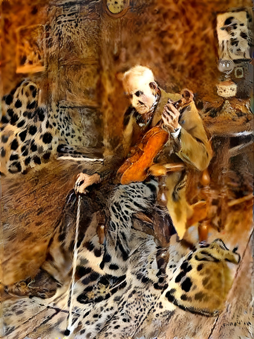 il violinista