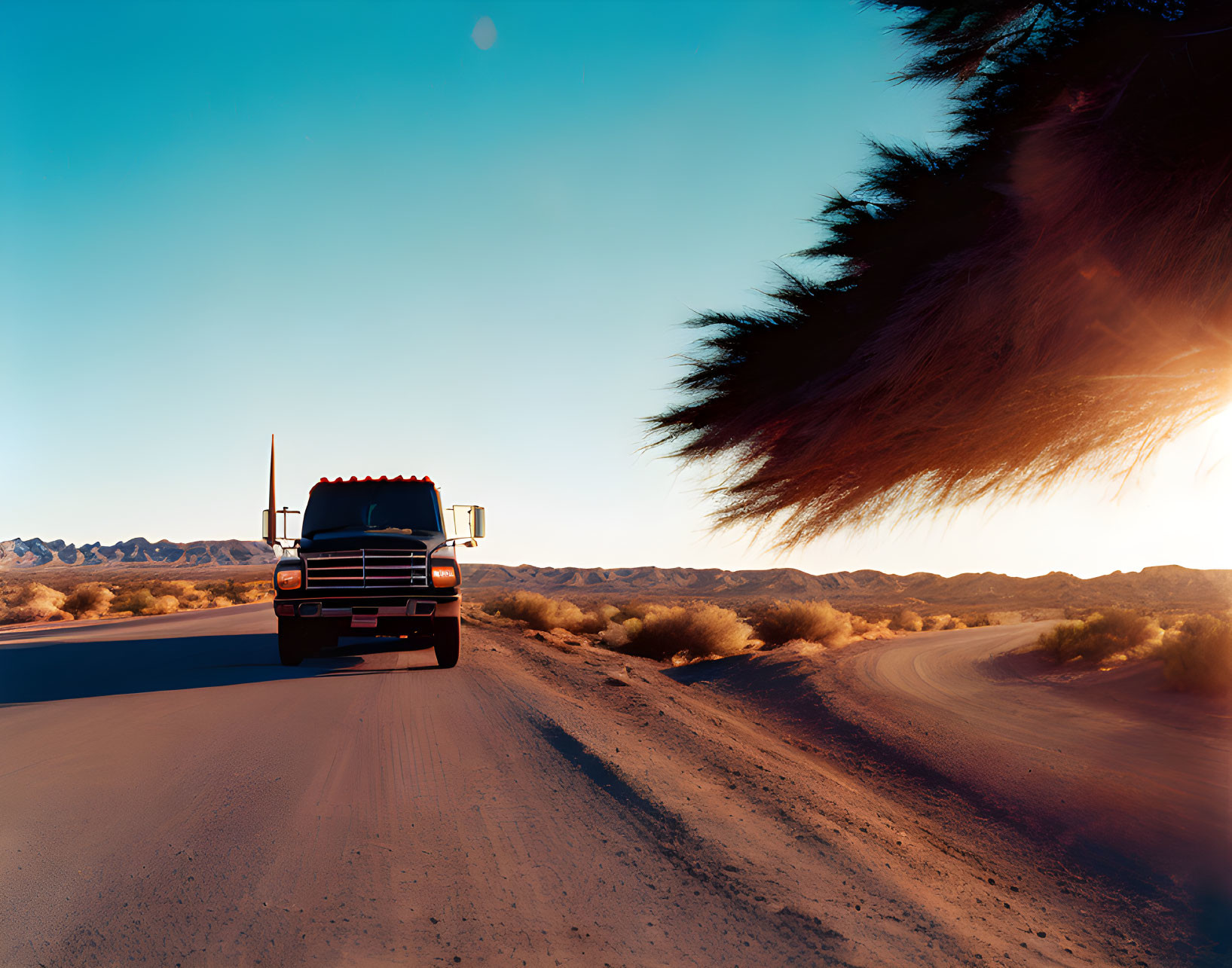 Black truck on desert road at sunset with overhanging tree branch