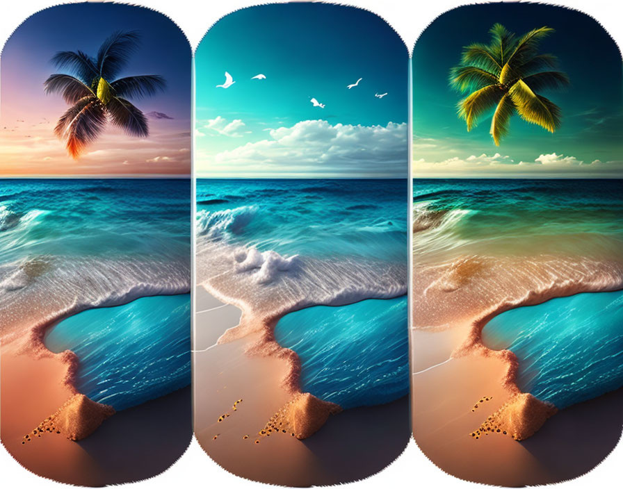 Tropical Beach Triptych: Palm Trees, Blue Water, Birds, Day to Sunset