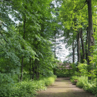 Tranquil forest scene with person by stream and blue boat in lush green surroundings