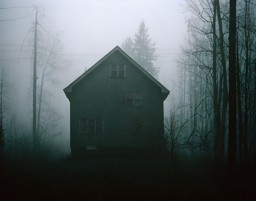 Dark house in thick fog with bare trees and power line.