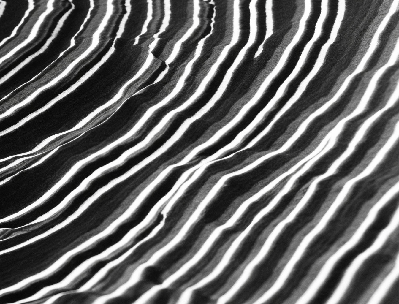 Rippled sand dunes resembling zebra stripes