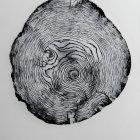 Detailed Black and White Tree Cross-Section with Growth Rings
