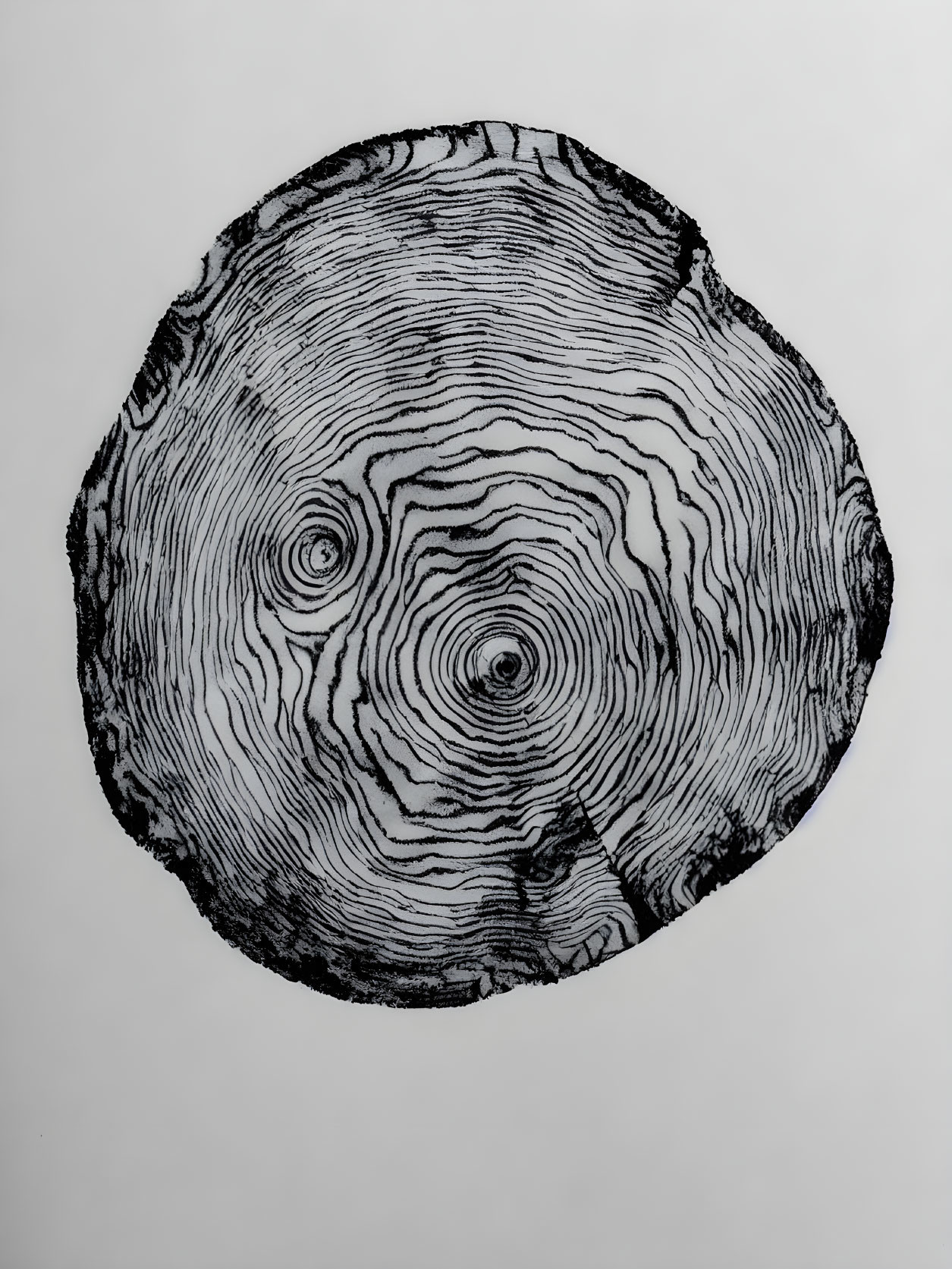 Detailed Black and White Tree Cross-Section with Growth Rings