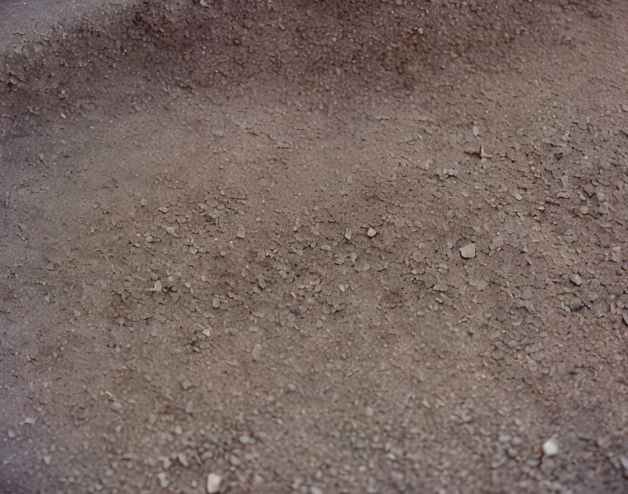 Uneven gritty brown soil with small pebbles and fine texture variations