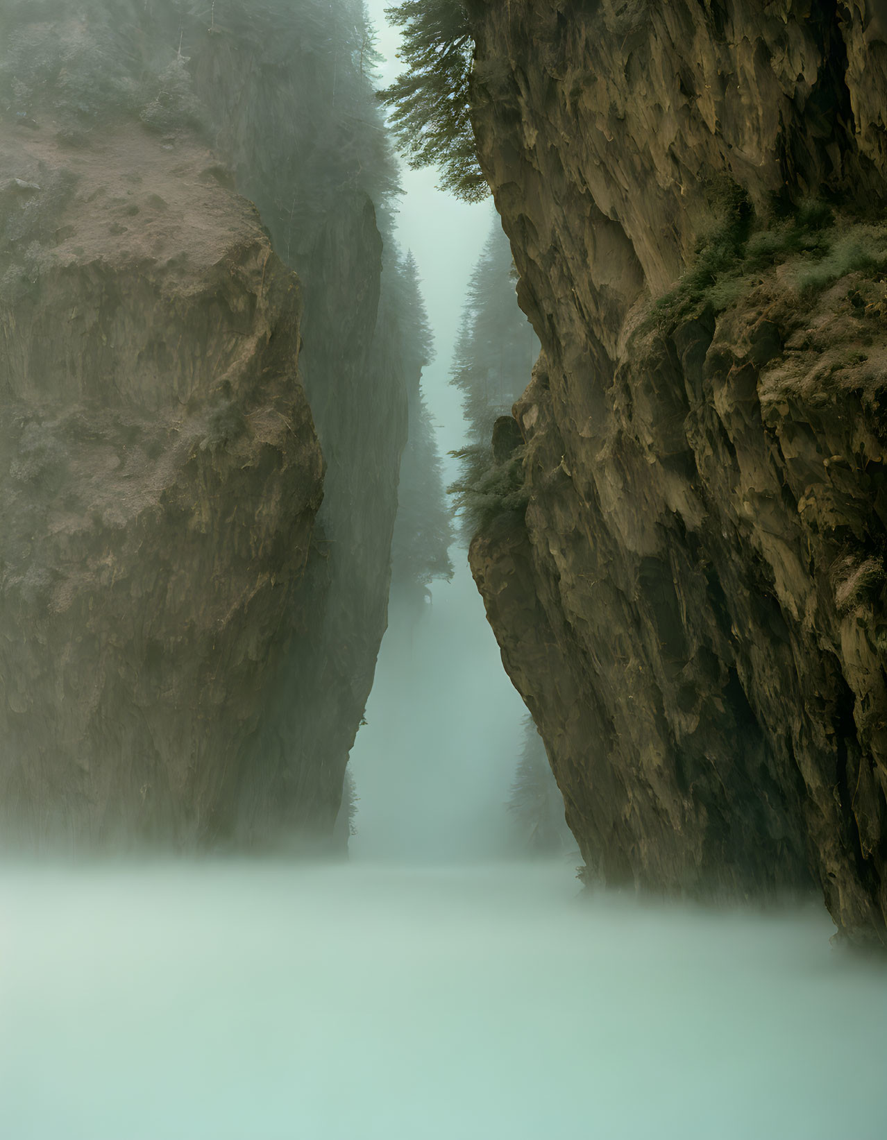 Misty ravine with steep rocky walls and sparse trees in serene atmosphere