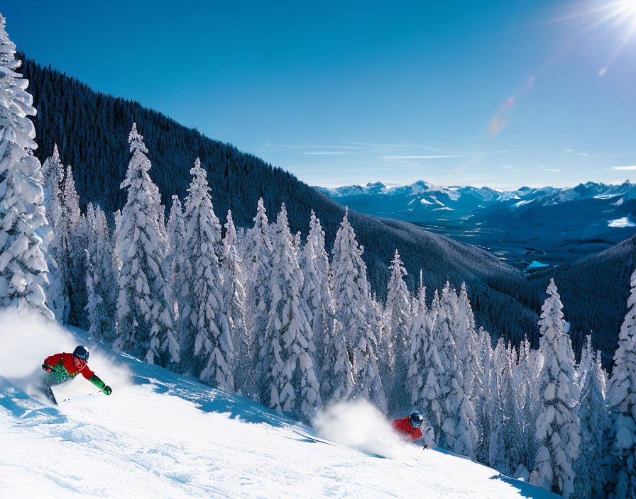 Snowy mountain slope with skiers and pine trees under clear blue sky