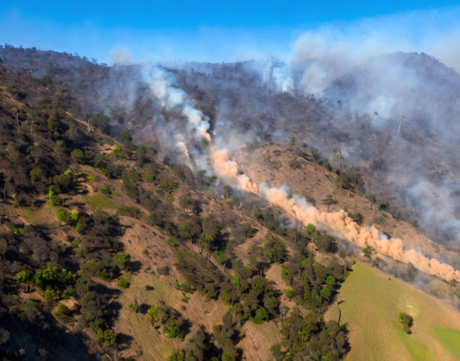 Wildfire Smoke Rising Over Dry Hillside and Greenery