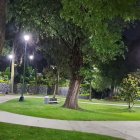 Tranquil night-time garden with illuminated trees, pond, lily pads, stepping stones, and