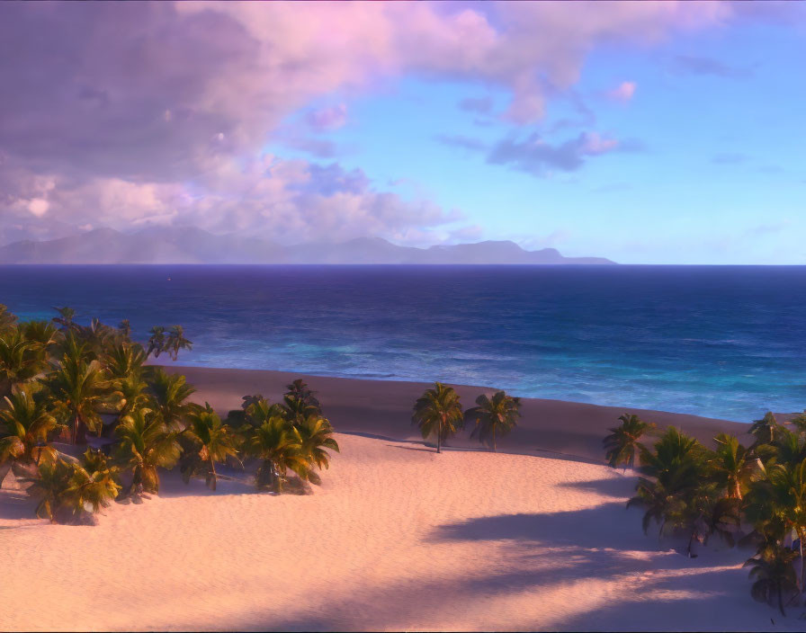 Tropical Beach Scene with Palm Trees and Sunset Sky