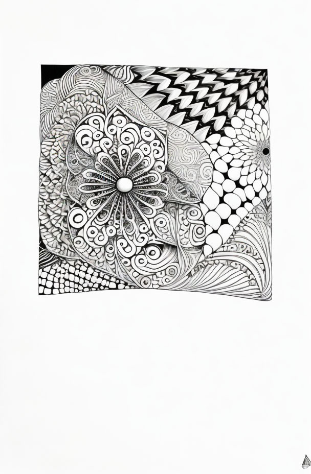 Monochrome abstract drawing with floral and textured patterns