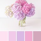 Purple and Pink Flowers in Clear Glass Vase on Soft Pink Background