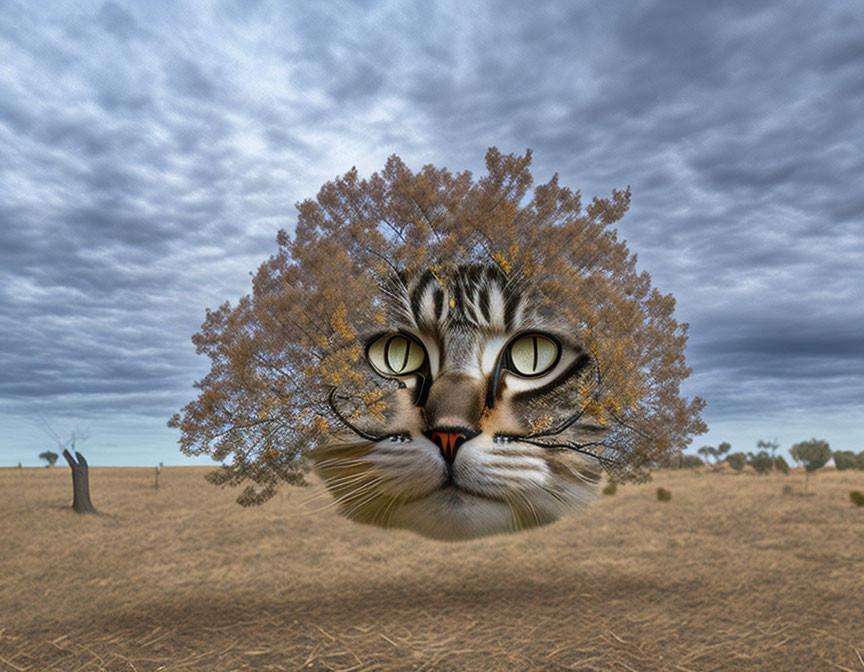 Surreal image: Cat's face merges with tree canopy in barren landscape