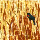 Vibrant bird on golden plants and red butterflies background