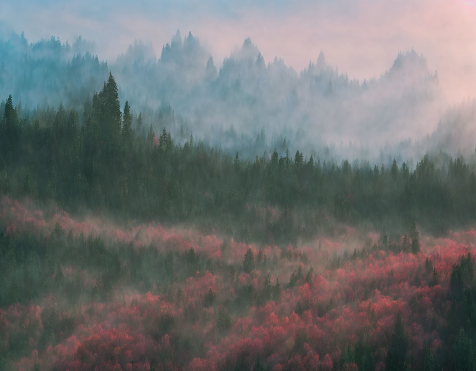 Misty forest at dawn with green and pink trees under gradient sky