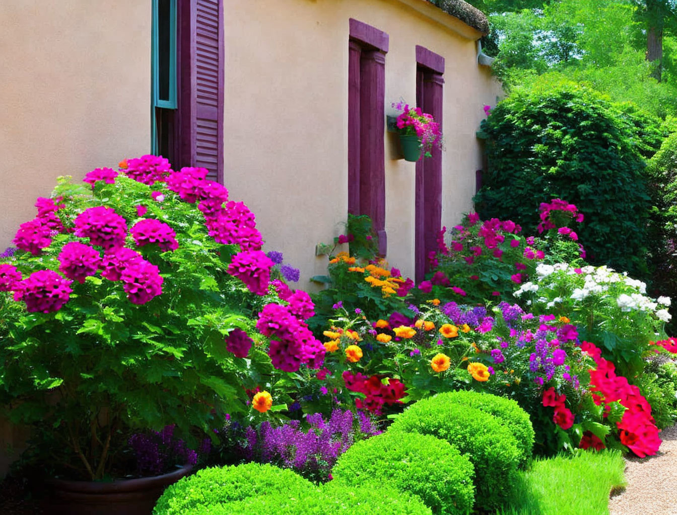 Vibrant garden with pink and orange flowers in front of a house with shutters