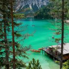 Tranquil forest scene with turquoise river and lush foliage