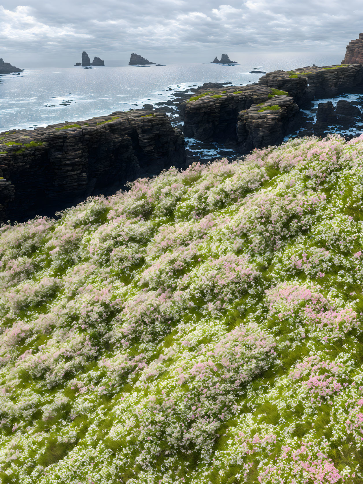 Cliff side 