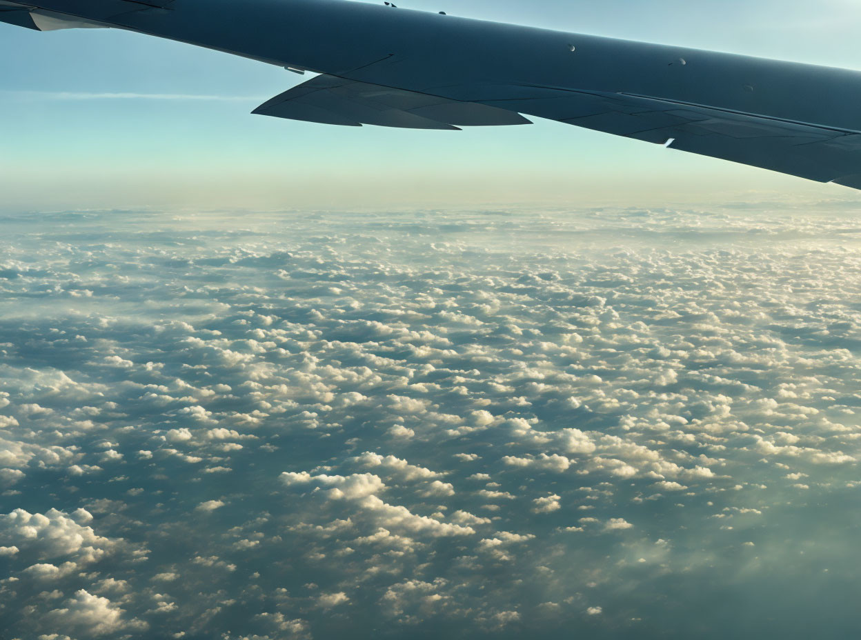 Airplane window view of wing over golden-hued sea of clouds