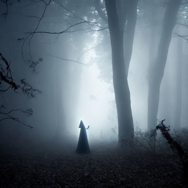 Mysterious figure in cloak amid foggy forest at twilight